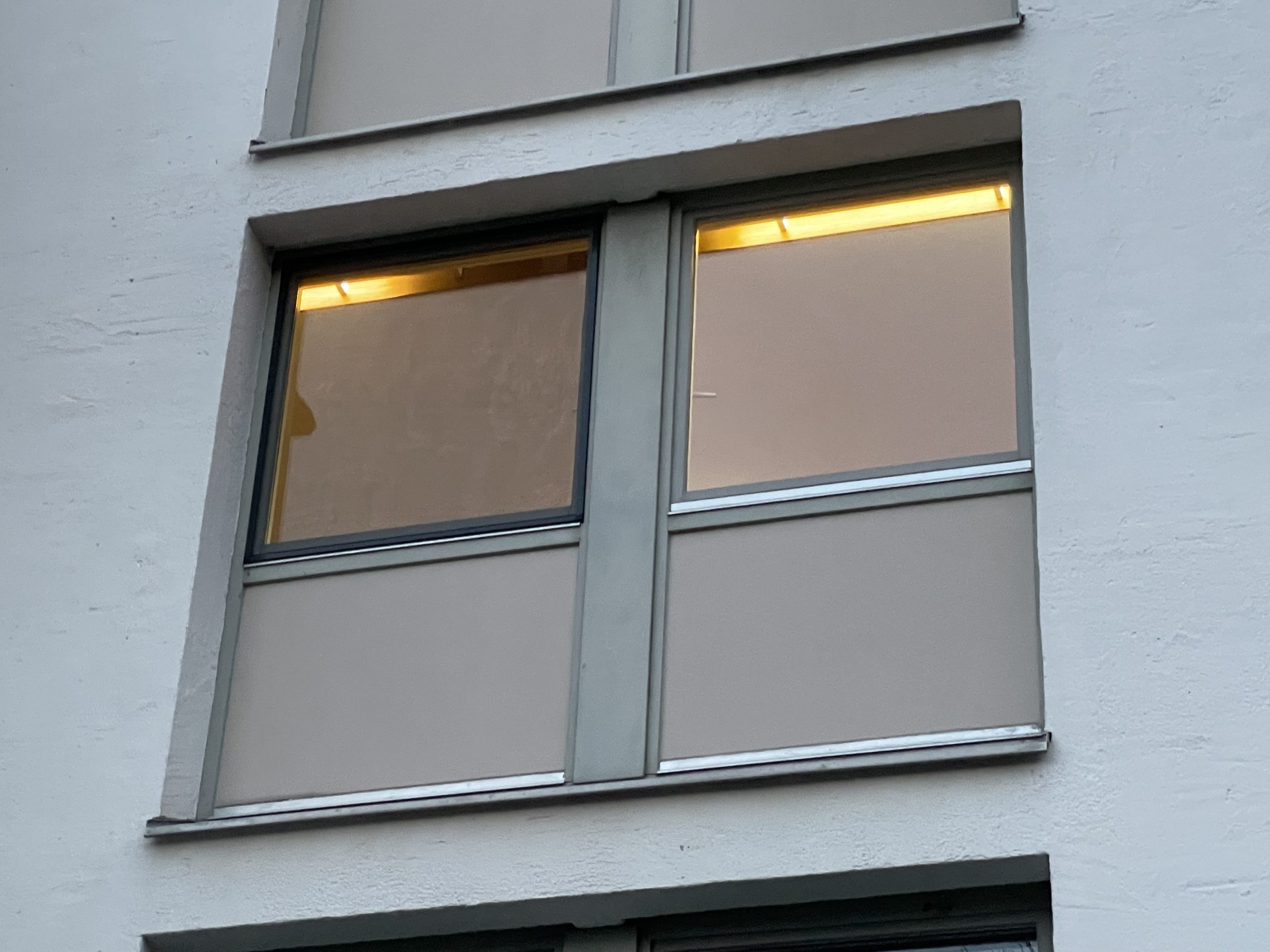 You are currently viewing Fliegengitter für Internatsfenster – Muster eingebaut
